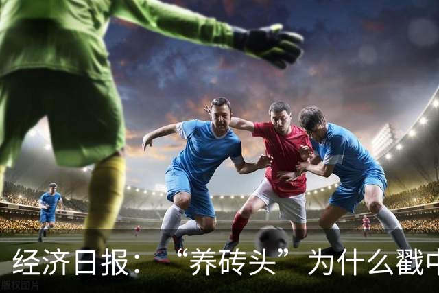 经济日报：“养砖头”为什么戳中年轻人？