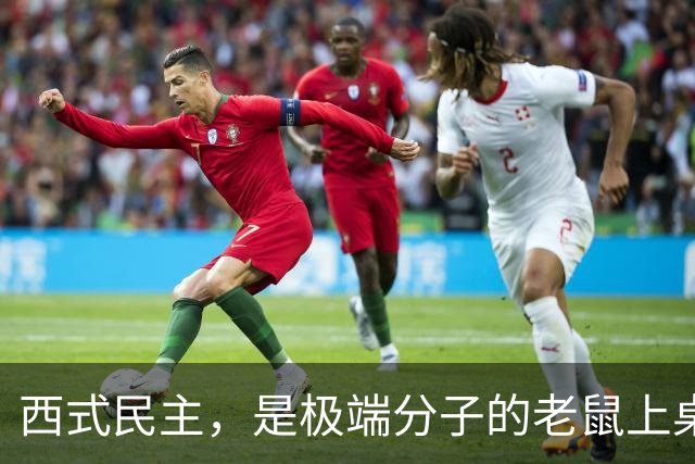 西式民主，是极端分子的老鼠上桌